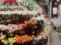 -斯蒂芬主教座堂(Stephansdom)