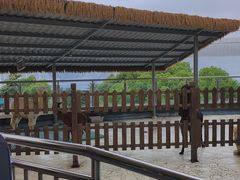 -芜湖新华联大白鲸海洋公园