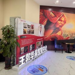 -南宁维密整形·王敦华眼鼻整复中心