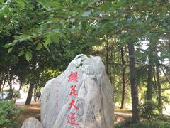 -武汉大学-樱园