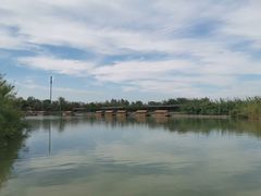 -泗洪洪泽湖湿地景区