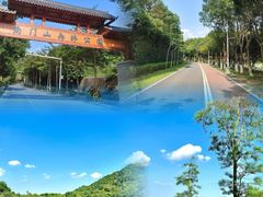 -凤岗南门山森林公园