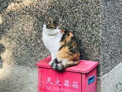-巴金故居