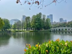 -四海公园(南山区)