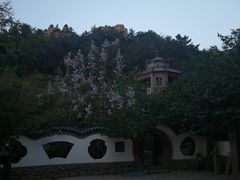 -老张烤羊(王哥庄店)