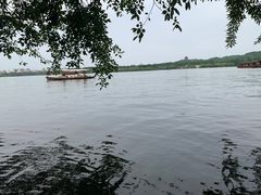 -西湖外事游船(花港观鱼码头)