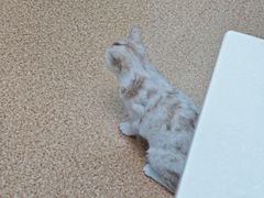 -宠颐生中康贝怡动物医院