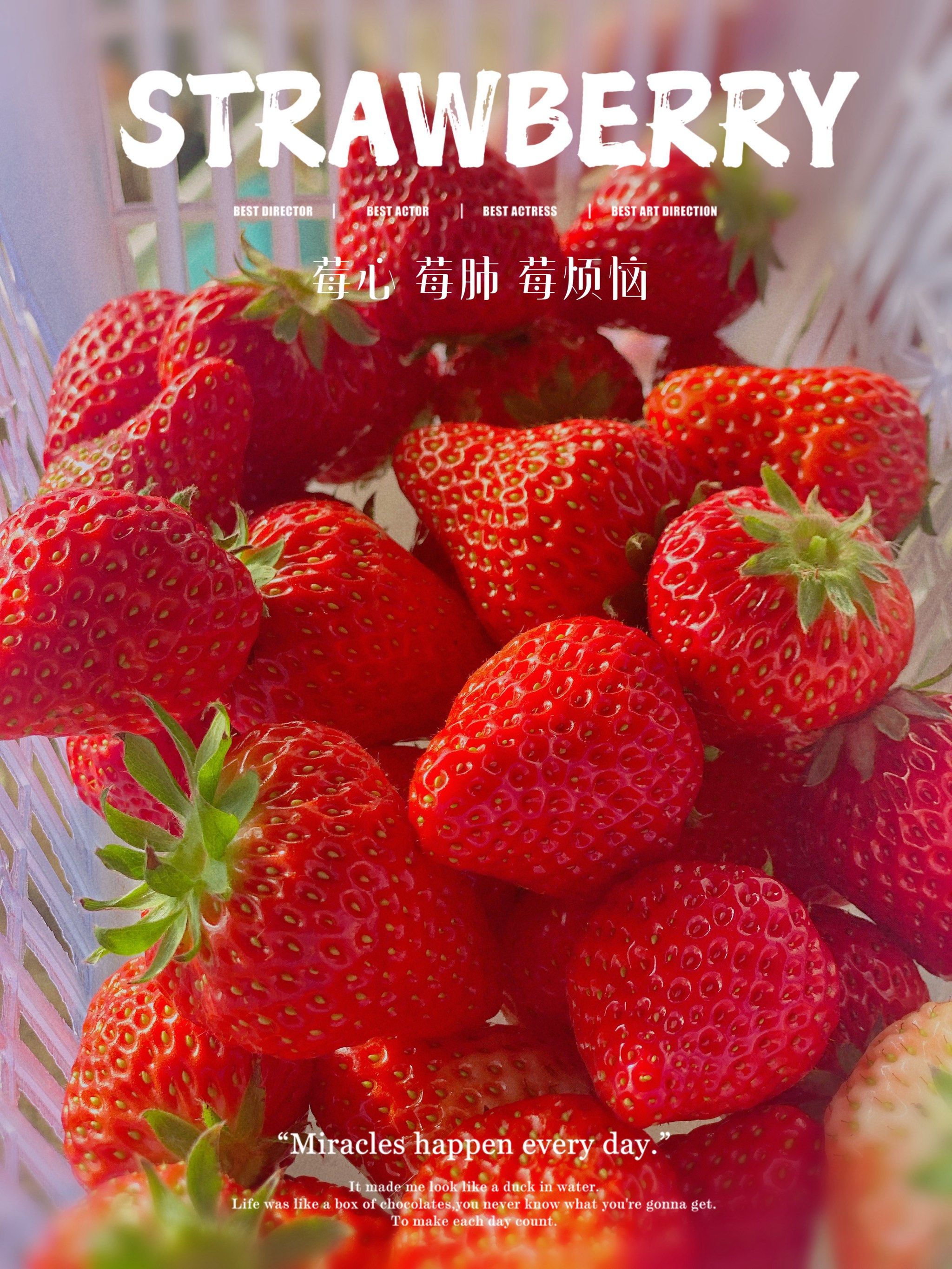 91莓心莓肺莓烦恼91草莓摘的比买的好91