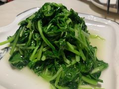 清炒鸡毛菜-19号私房菜(云南路店)