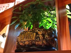 -四姐妹东北饺子(沙尾路店)