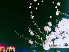 -钱江新城灯光秀