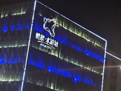 -鹏欣水游城