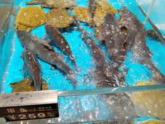 -艳阳天·非遗楚菜(武汉客厅店)