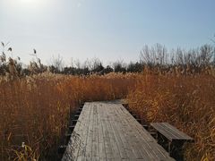 -永定河休闲森林公园