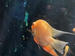 -常州海昌海洋探索馆