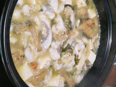 -越城记黑鱼煲(福侨大厦店)