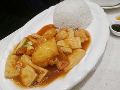 支竹豆腐焖斑腩-香港新发烧腊茶餐厅(水围店)