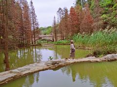 -云溪植物园
