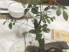 -御仙都北京菜馆·烤鸭店(双井店)