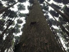 -山王坪喀斯特国家生态公园