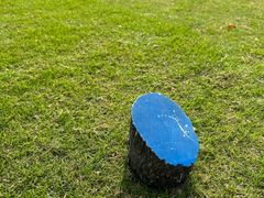 -旭宝高尔夫俱乐部