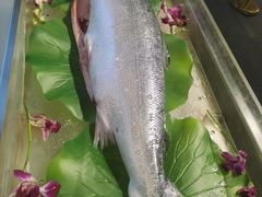 -南美元生态大酒店(海珠店)