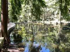 -波尔登森林公园
