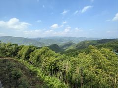 -莫干山风景区