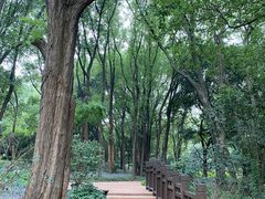 -东湖落雁景区