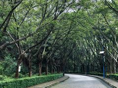 -滴水岩森林公园