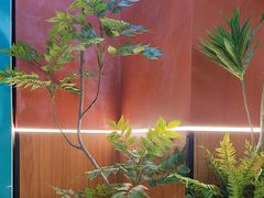 -0048鲜活香辣虾·火锅(铜陵路店)