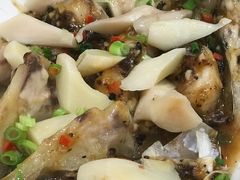 -寻味顺德·南记酒家·传统顺德菜·鱼生(广源路店)