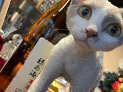 -后院儿·精酿·塔罗Happy Bar