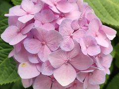 -常州古运河南大街文化旅游区-人民公园