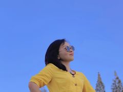 -黄海国家森林公园