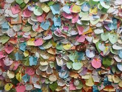 -HONGA HONGA雄家(曹路店)