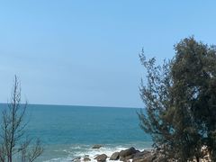 -广东惠东海龟国家级自然保护区