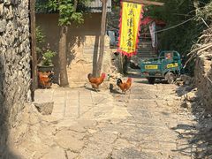 -井塘古村