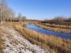 -东郊湿地公园