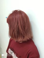 -E.L.K造型momopark店