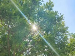 -梅花境(万科店)