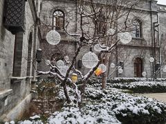 -国药中服免税(北京坊店)