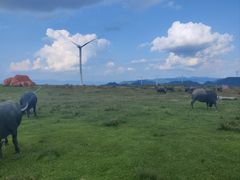 -龙里油画大草原旅游区