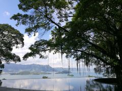 景点-大埔公路-马料水段香港中文大学(公交站)