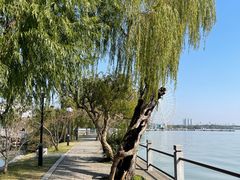 -无锡蠡湖国家湿地公园-蠡园