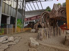 -海合安成都极地海洋公园