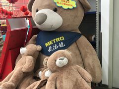 -麦德龙(郑东店)