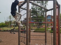 -铁山坪森林公园