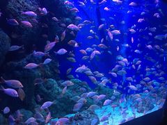 -成都浩海立方海洋公园