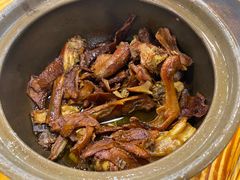 姜母鸭-斯丹姜母鸭·古法干香(涂门街总店)